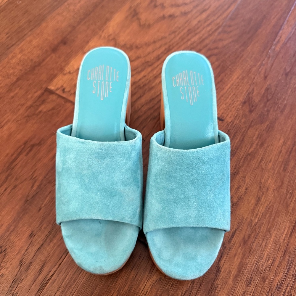 Charlotte Stone clogs size 9